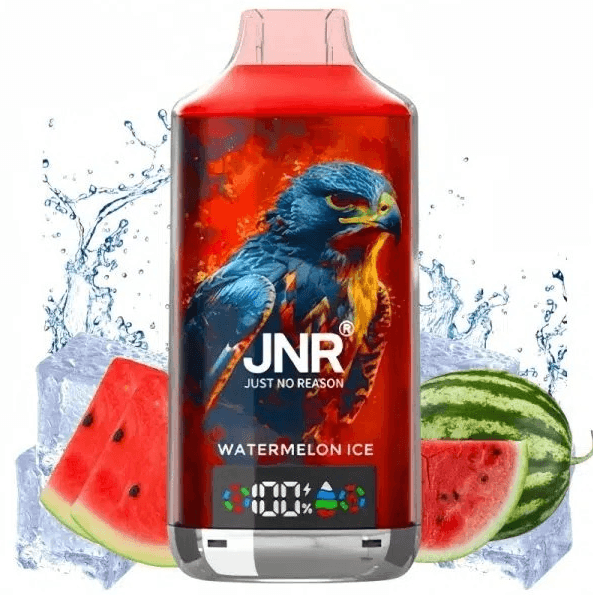 JNR Falcon Bar 48000 puffs 20mg Watermelon Ice Disposable Vape